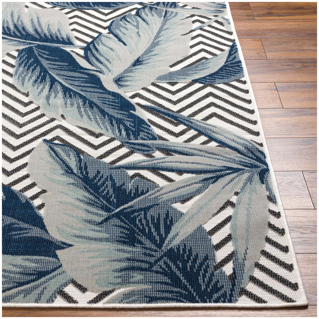 Cabo CBO-2305 Rugs cbo2305-front